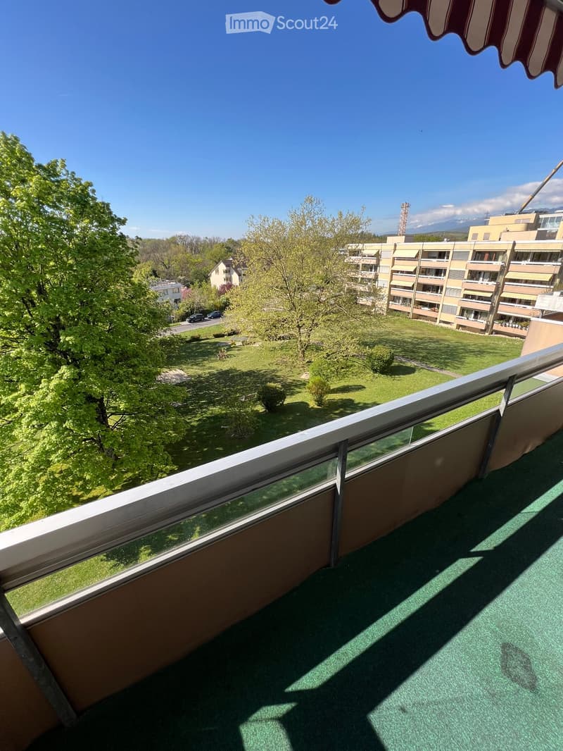 Lumineux et grand appartement de 6,5 pièces à Nyon (4)