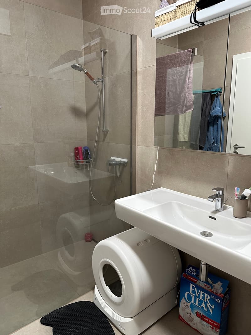 Wanted: Replacement for 2.5-room apartment in Arbedo (5)