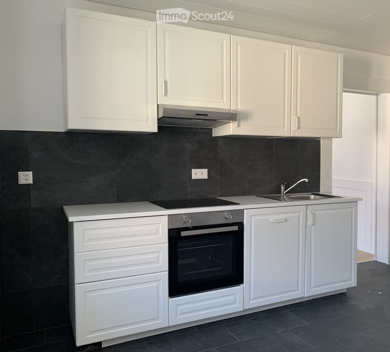 Bright, refurbished apartment (2)