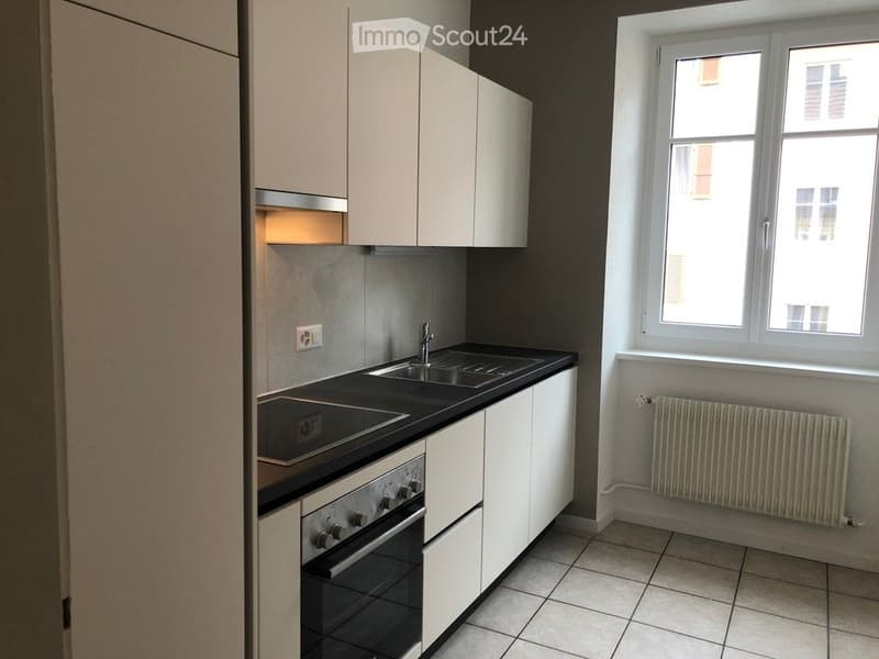 Bello appartamento di 3 locali, ristrutturato (5)