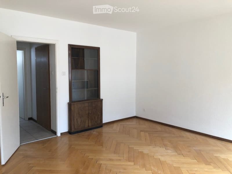 Bello appartamento di 3 locali, ristrutturato (1)