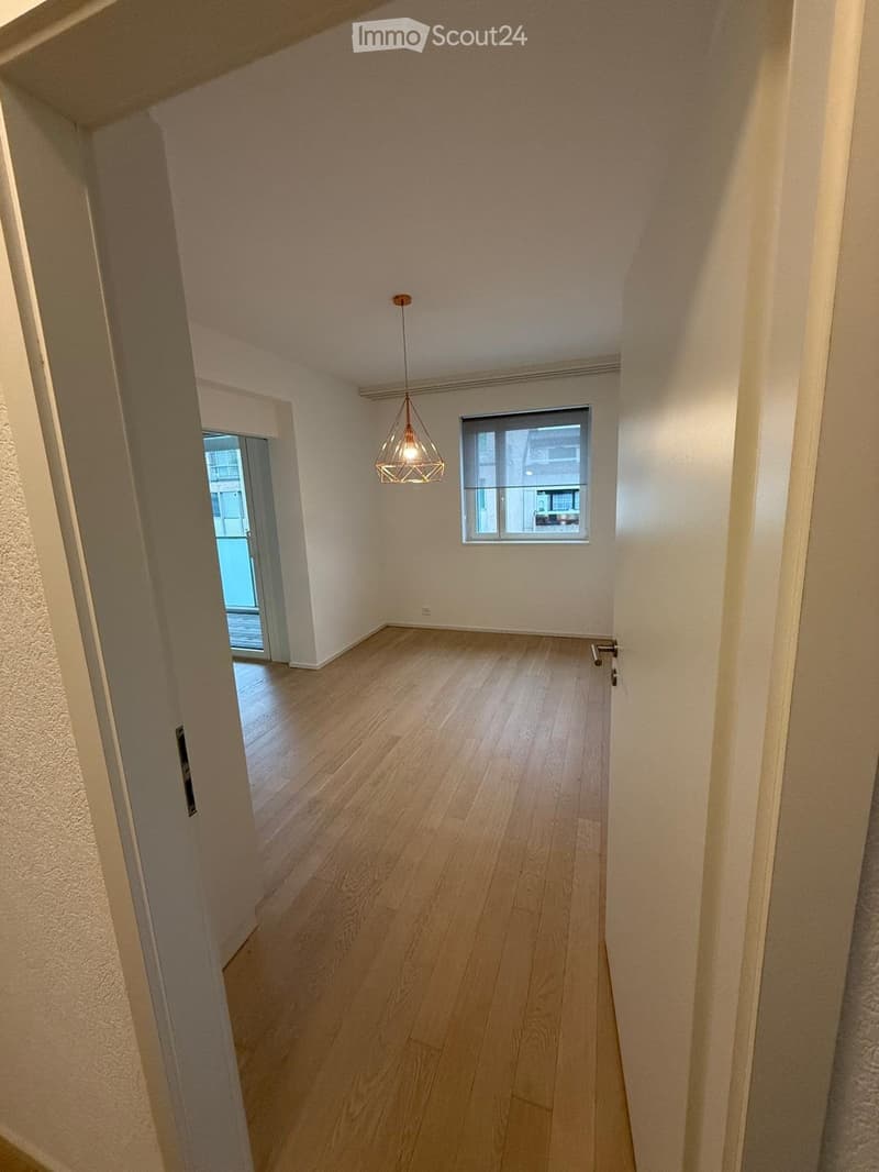 Reprise de bail, Carouge, rue Alexandre-Gavard 28 (2)