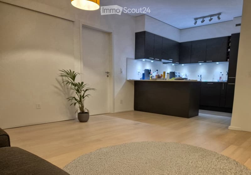 Reprise de bail, Carouge, rue Alexandre-Gavard 28 (5)