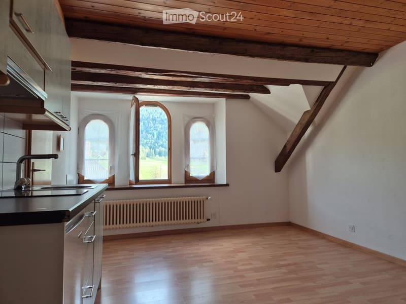 Monolocale charmant, a 4 minuti dalla stazione, CHF 433 (2)