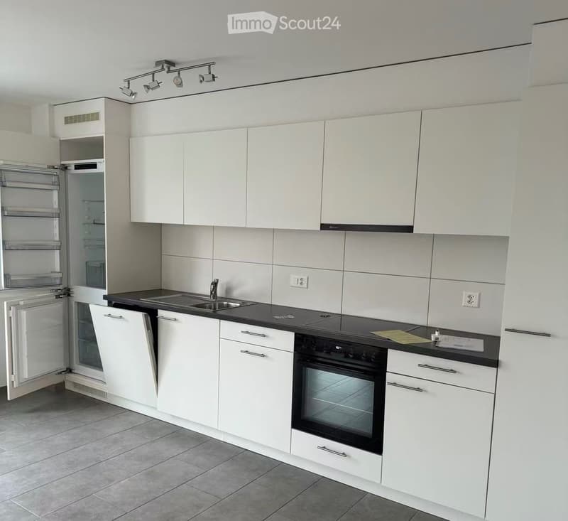 Appartement 4.5 pièces avec parking dispo 01.06 (1)