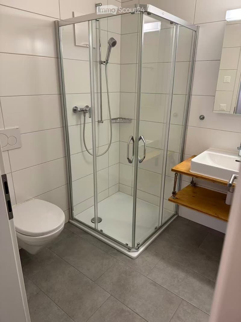 Appartement 4.5 pièces avec parking dispo 01.06 (4)