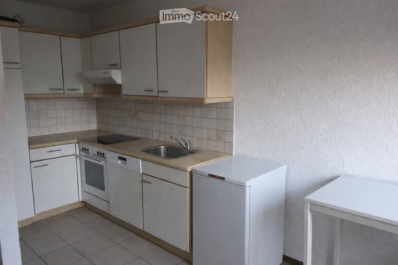 Large furnished room for rent in shared apartment close to EPFL (4)
