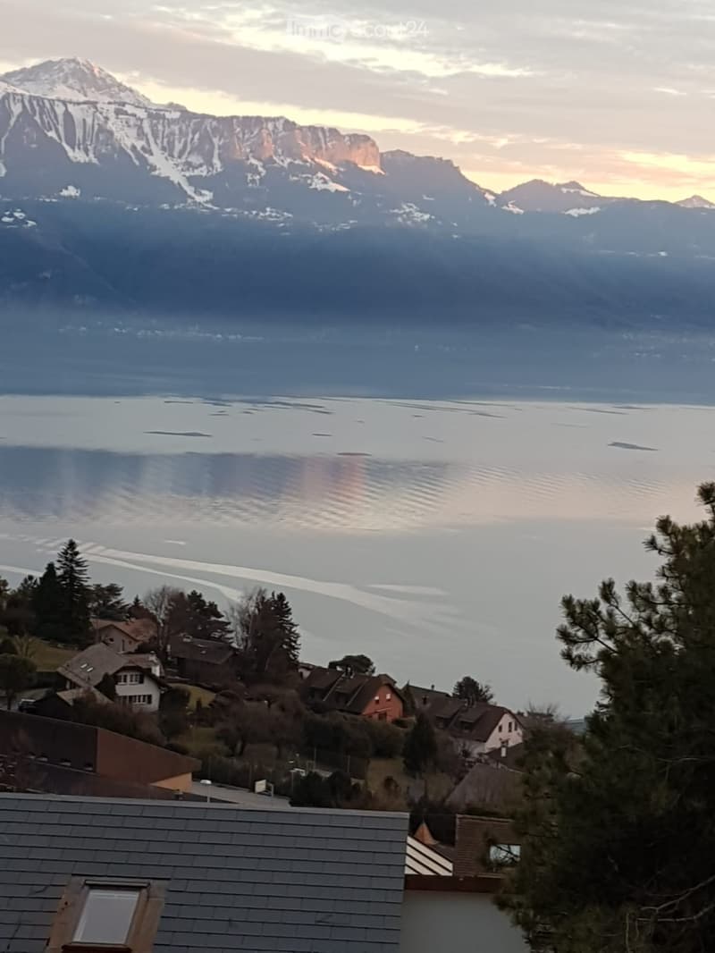OFF Market Beautiful House with panoramic view - Lavaux (1)