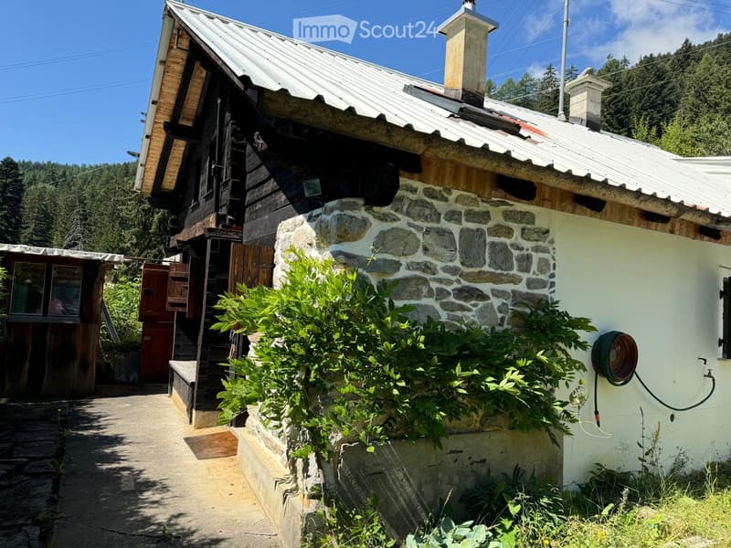 Charmant chalet à Plan Cernet Cadre naturel et calme absolu (1)