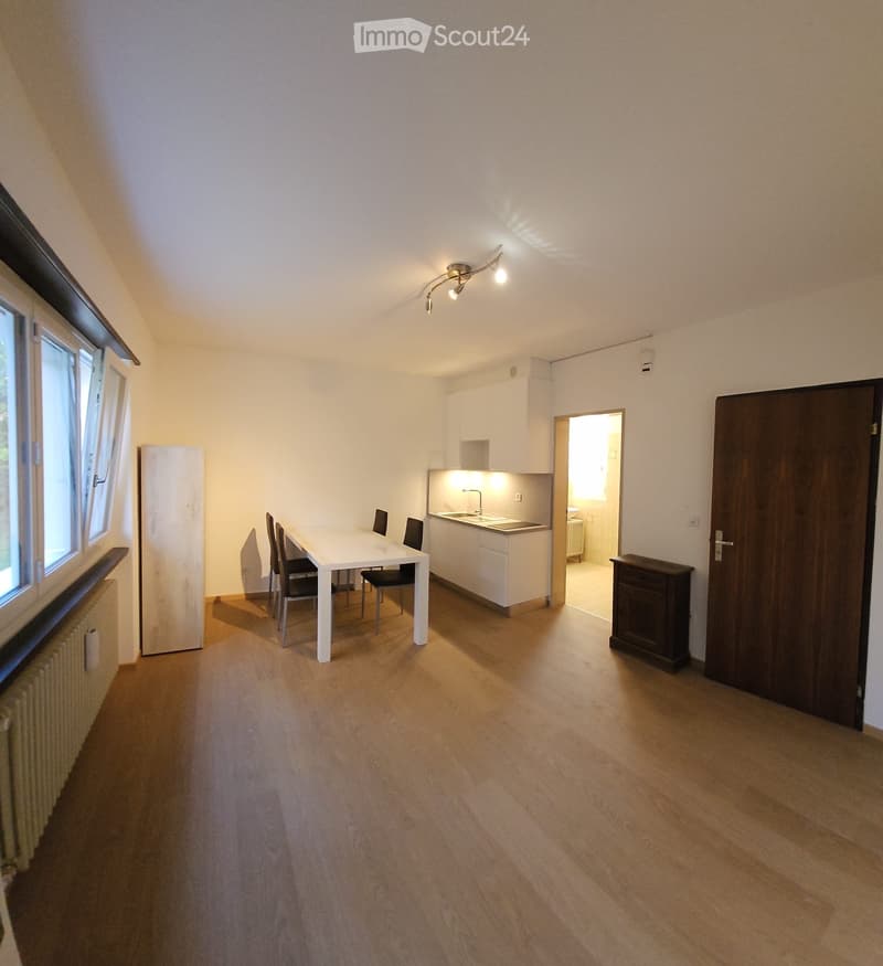 Bilocale ammobiliato in bella zona residenziale (1)
