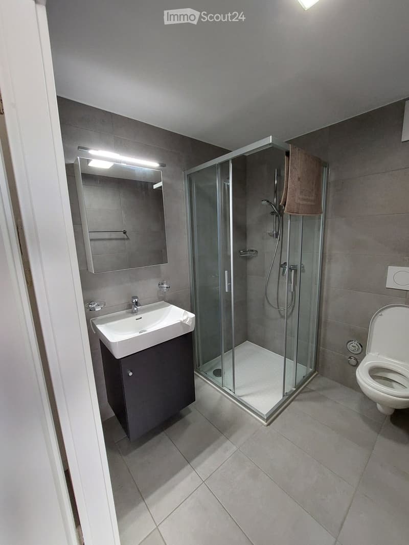 Furnished studio + indoor parking (3)