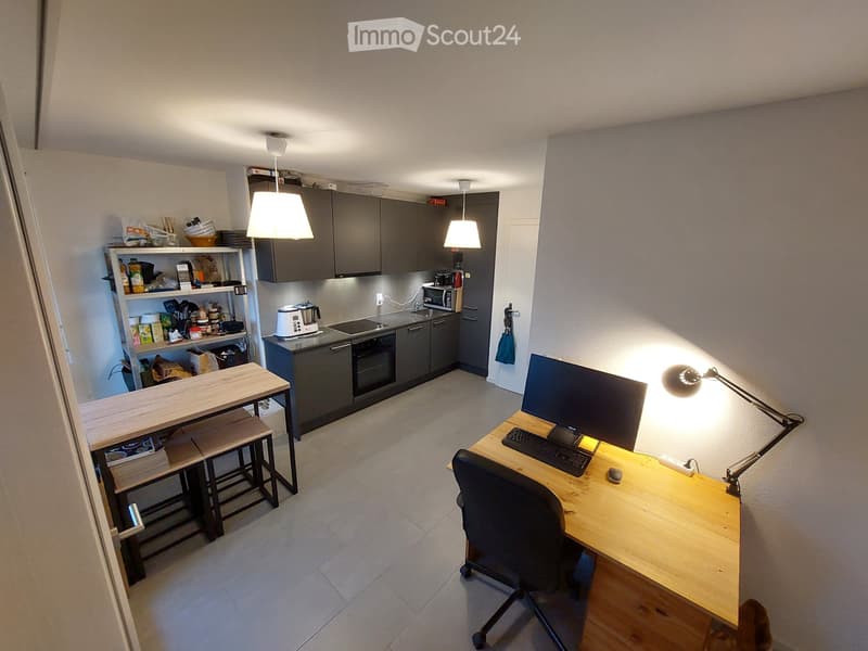 Furnished studio + indoor parking (1)