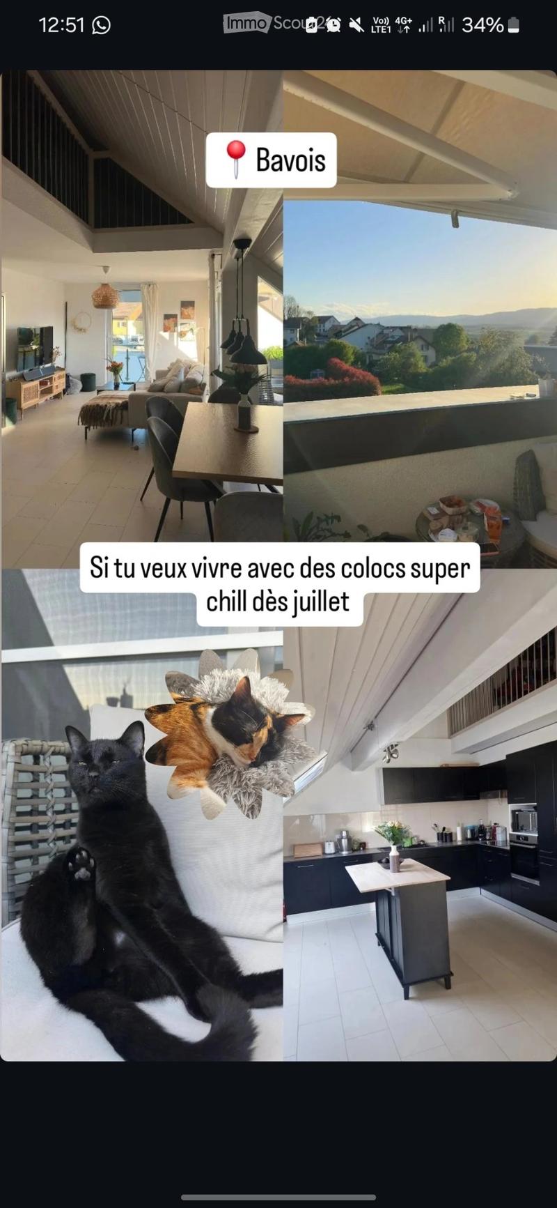 Colocation dans duplex de 138m2 (1)