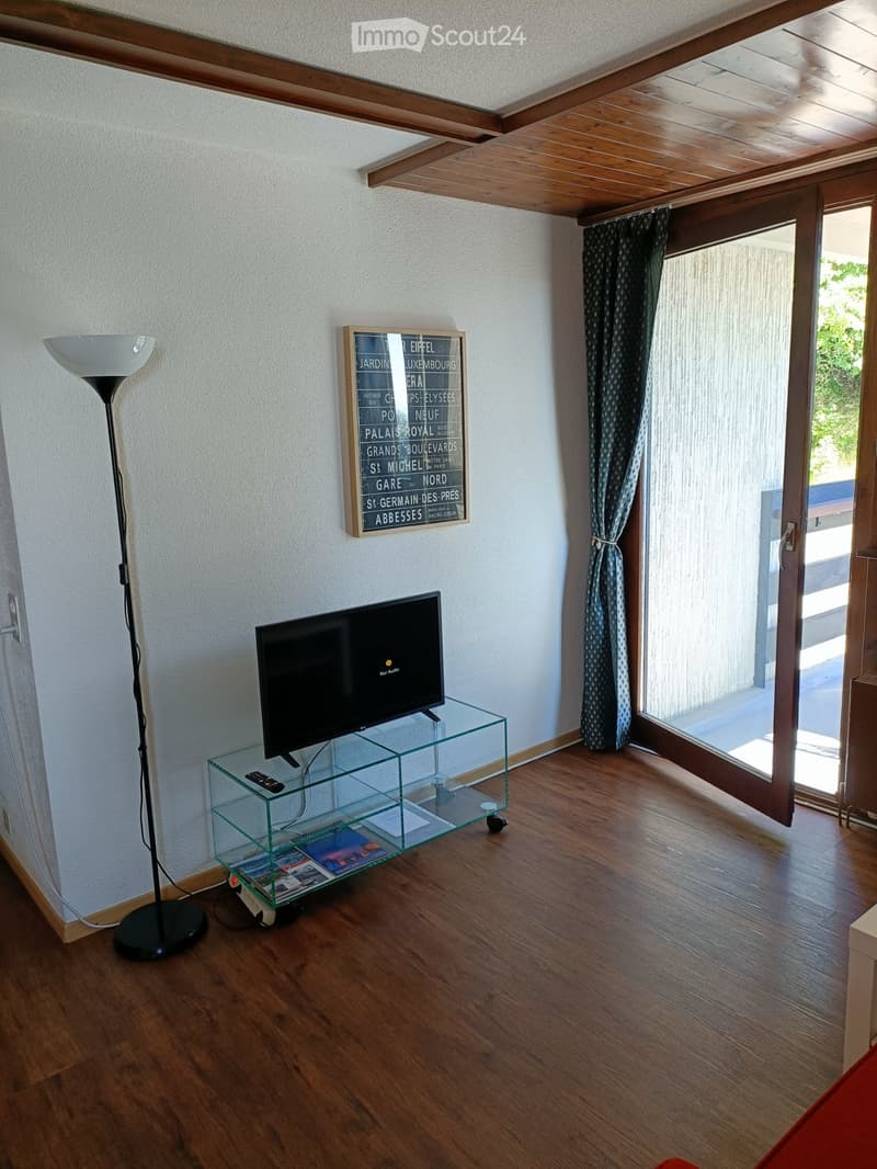 Appartamento luminoso 2,5 locali, arredato, balcone (2)