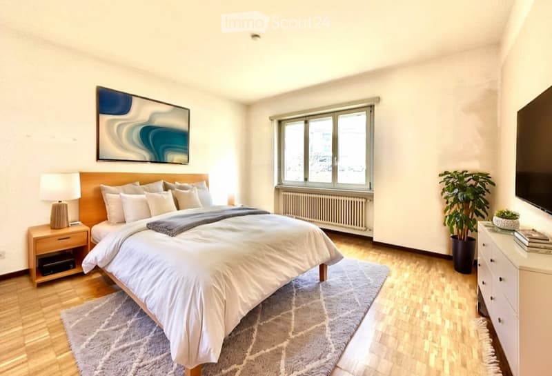 Mendrisio 3.5 rooms renovated, new kitchen (3)
