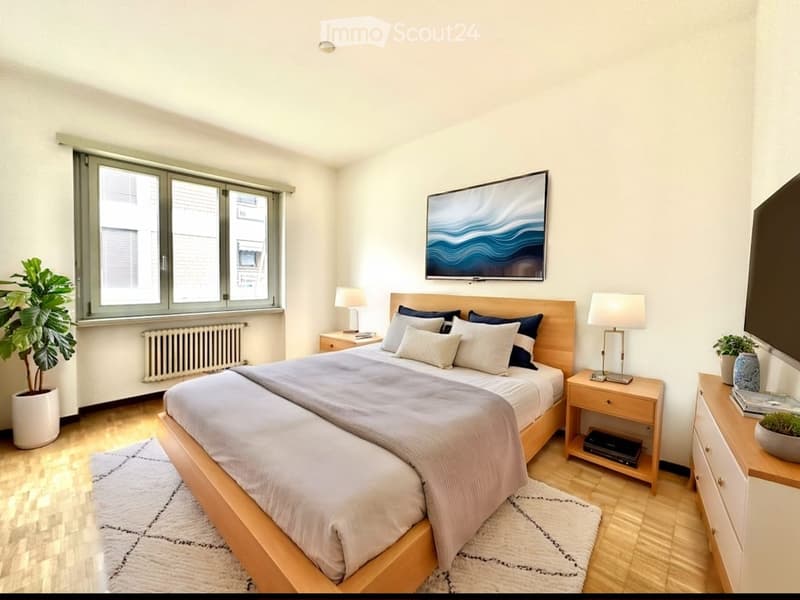 Mendrisio 3.5 rooms renovated, new kitchen (2)