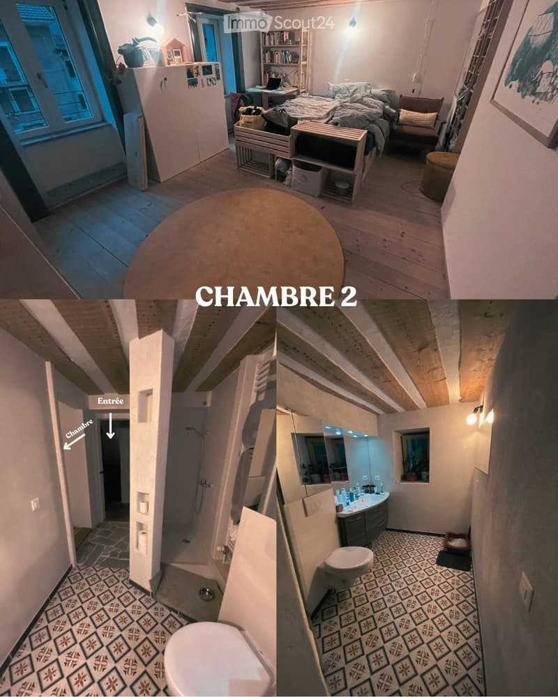 Colocation dans une maison atypique à La Balmaz (Evionnaz) (2)