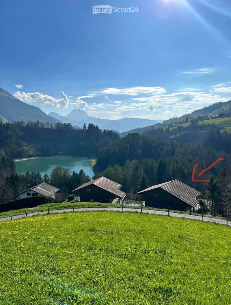 Beautiful villa chalet for sale (4)