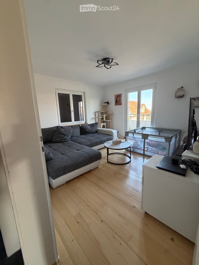 Takeover of lease for 4-room apartment in La Coudre (1)
