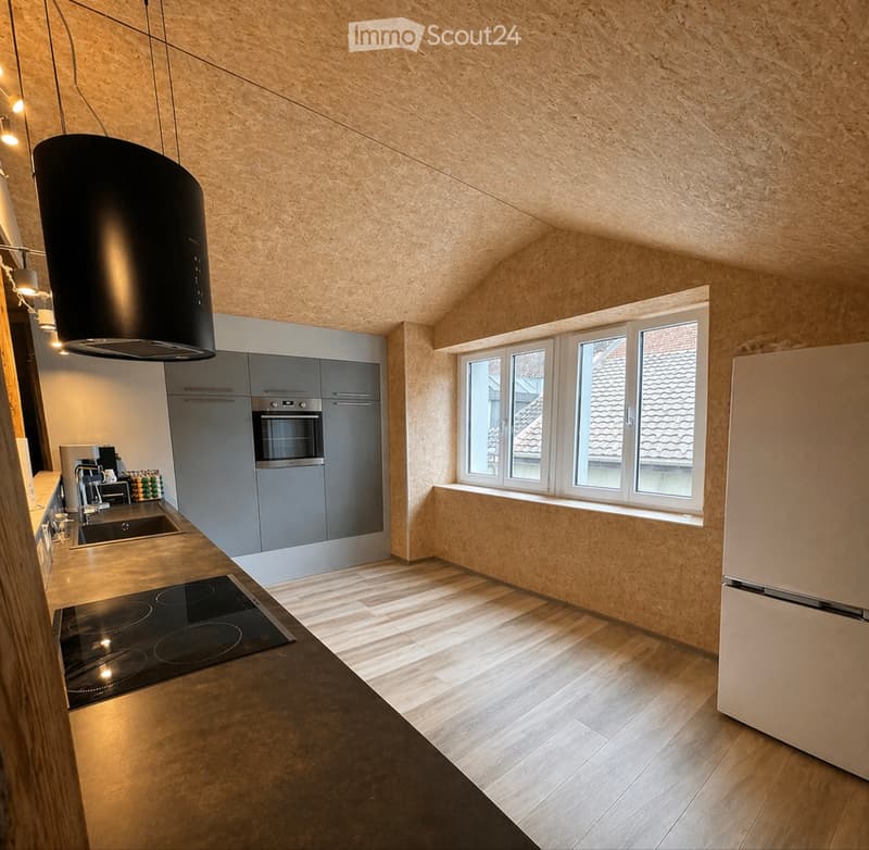 Appartamento 2.5 locali (4)