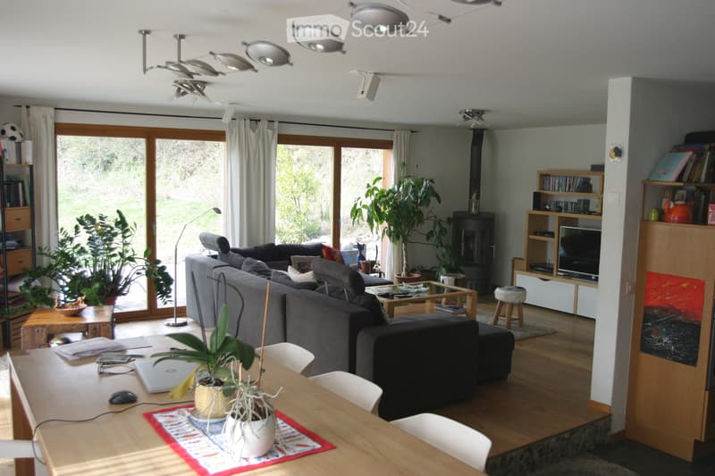 Very nice house in a quiet environment (2)