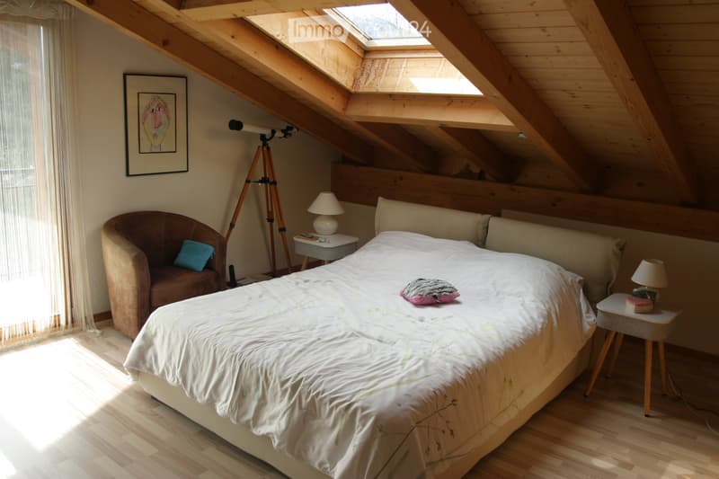 Very nice house in a quiet environment (5)