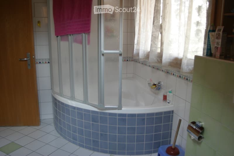Very nice house in a quiet environment (3)