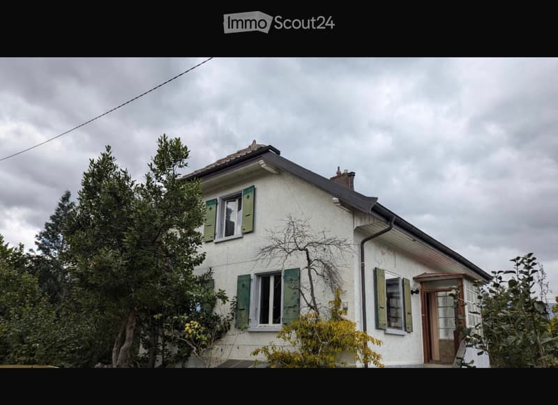 Camera in condivisione in affitto 850.- spese incluse (1)