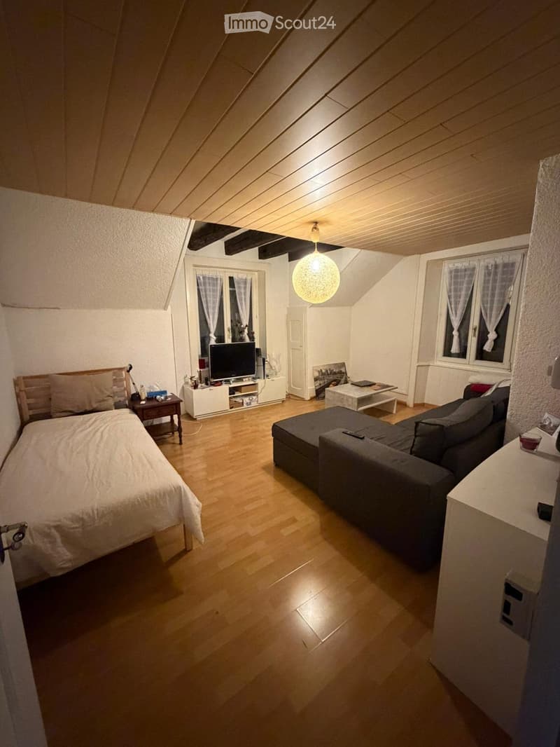 Apartment 2,5 rooms (4)
