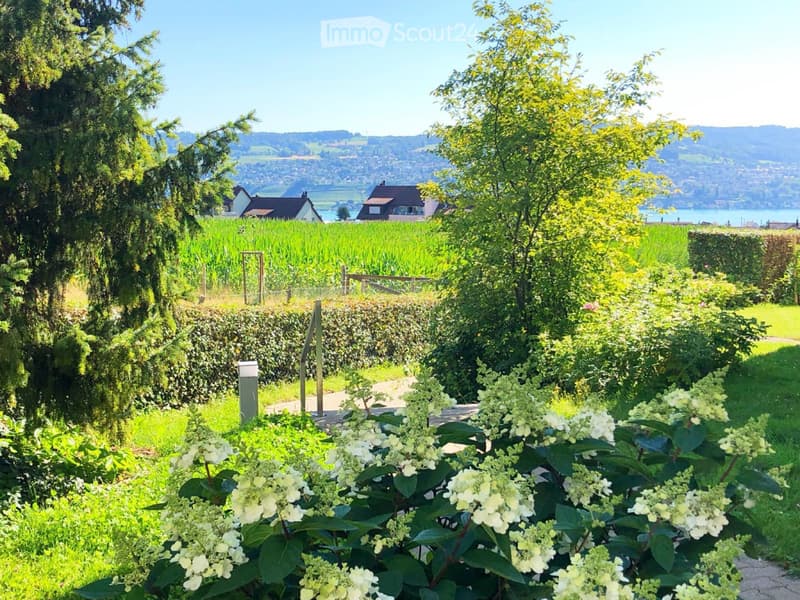 Appartement magnifique au bord du lac de Zurich (2)