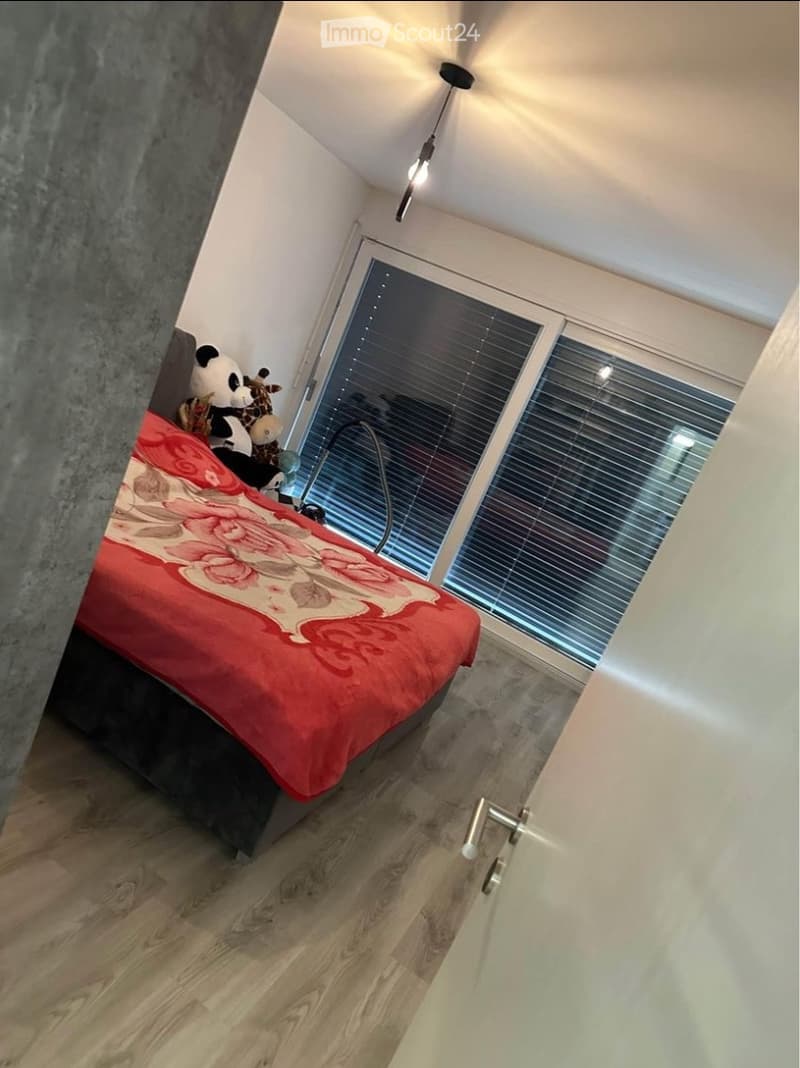 Meraviglioso Appartamento 2,5 (4)