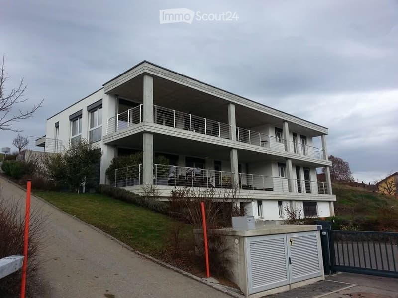 Appartamento 6,5 locali (2 bagni) (1)