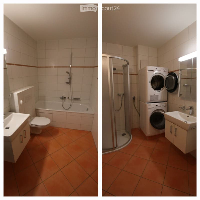 Meraviglioso 3,5 locali, piano terra con terrazza in aperta campagna! (4)