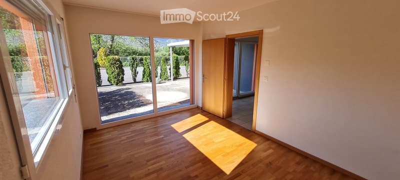Meraviglioso 3,5 locali, piano terra con terrazza in aperta campagna! (3)