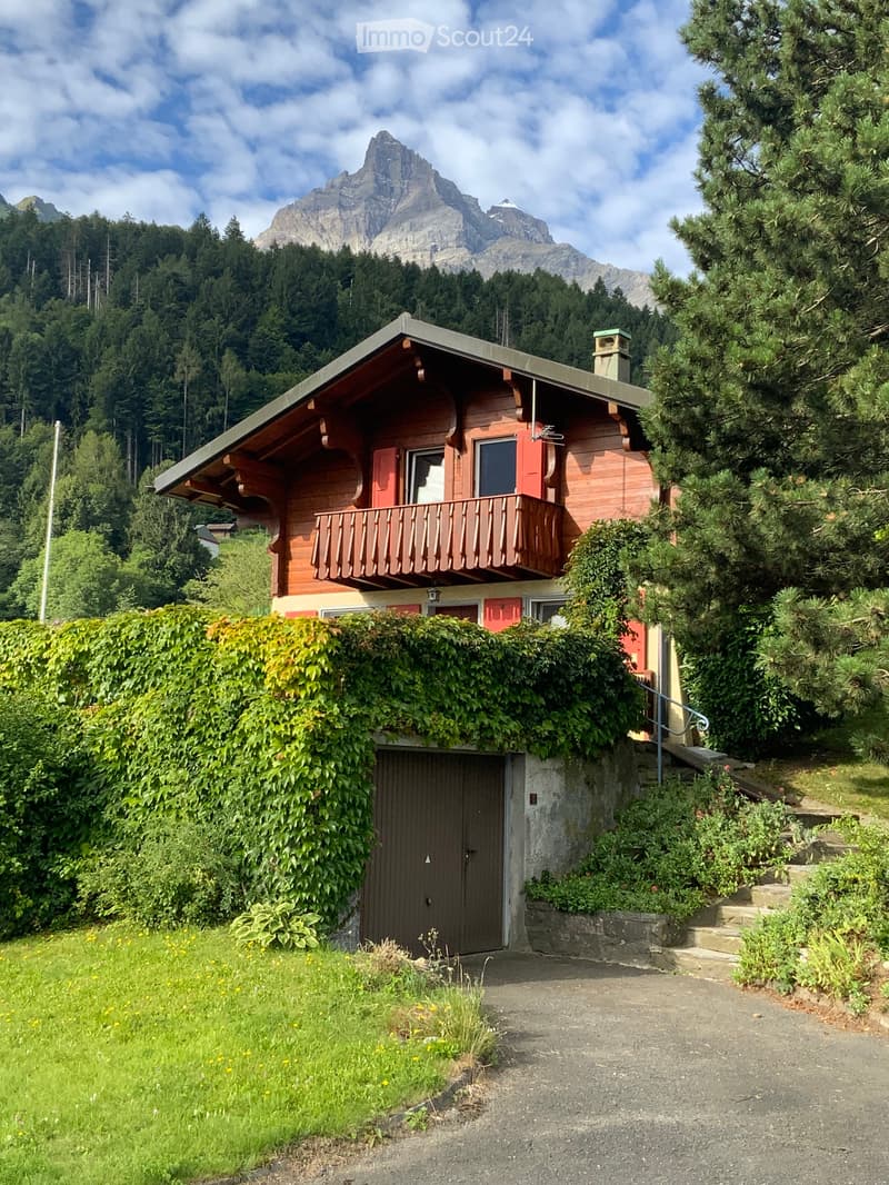 Magnifique PETIT CHALET (1)