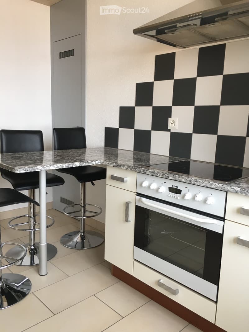 Appartamento 4,5 locali a duplex (3)