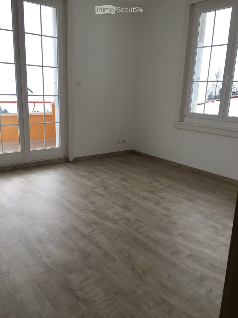 Appartamento 4,5 locali a duplex (4)