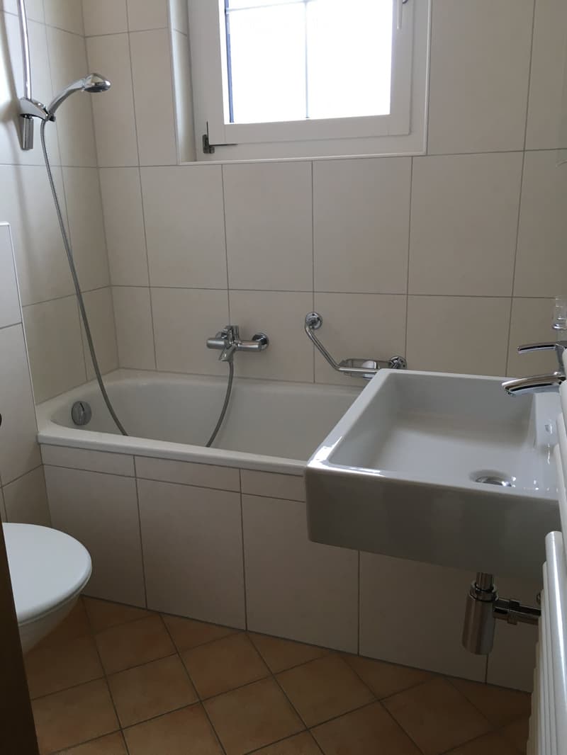 Appartamento 4,5 locali a duplex (2)