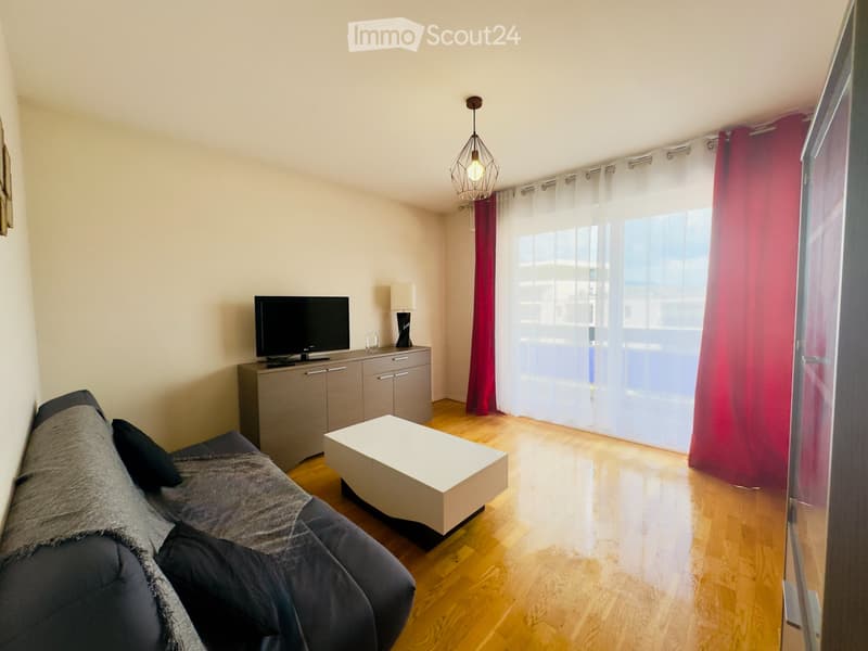 Möblierte Wohnung 33 m² Moillesulaz (2)