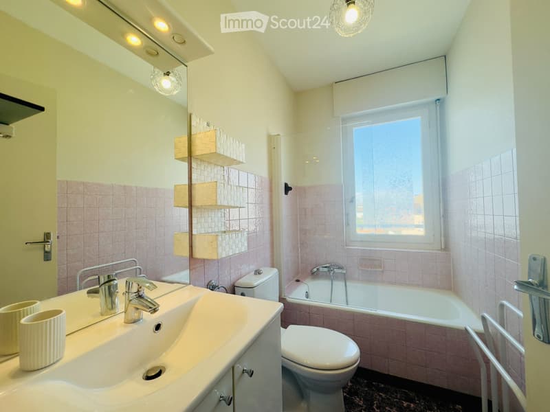 Möblierte Wohnung 33 m² Moillesulaz (3)