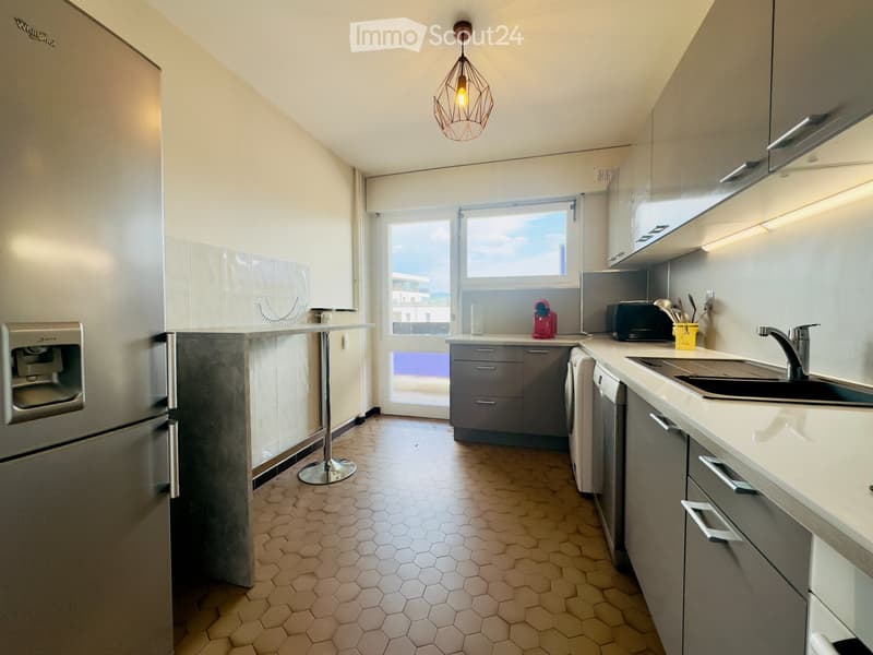 Möblierte Wohnung 33 m² Moillesulaz (1)