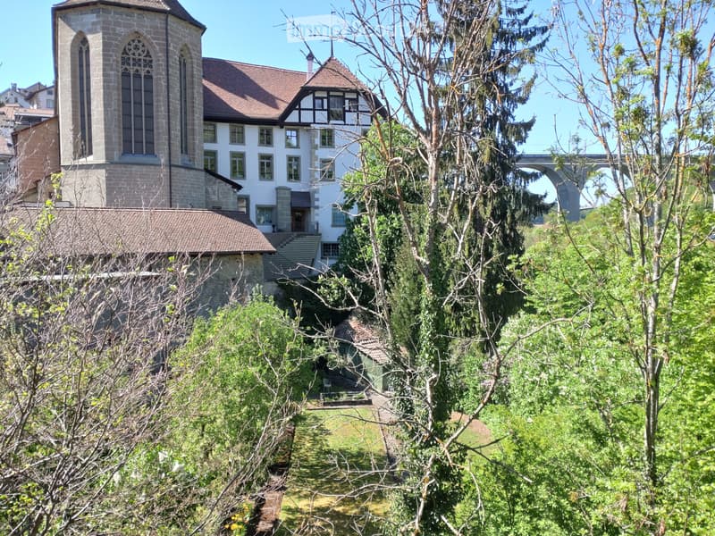 Wohnung 3.5 Zimmer in der Altstadt (Vertragsübernahme) (1)