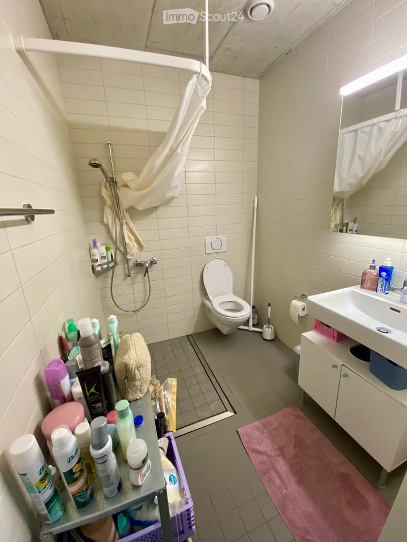 Looking for a new roommate in Bern (3)