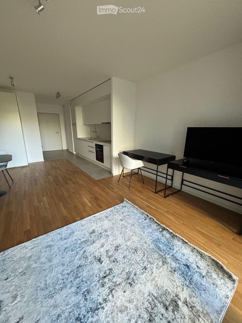 Studio zur Miete Lausanne (in der Nähe von EPFL / UNIL) Größe: 40 m² (3)