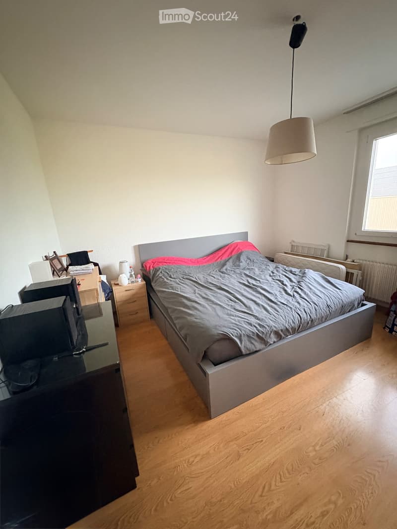 Wohnung 4.5 Zimmer (3)
