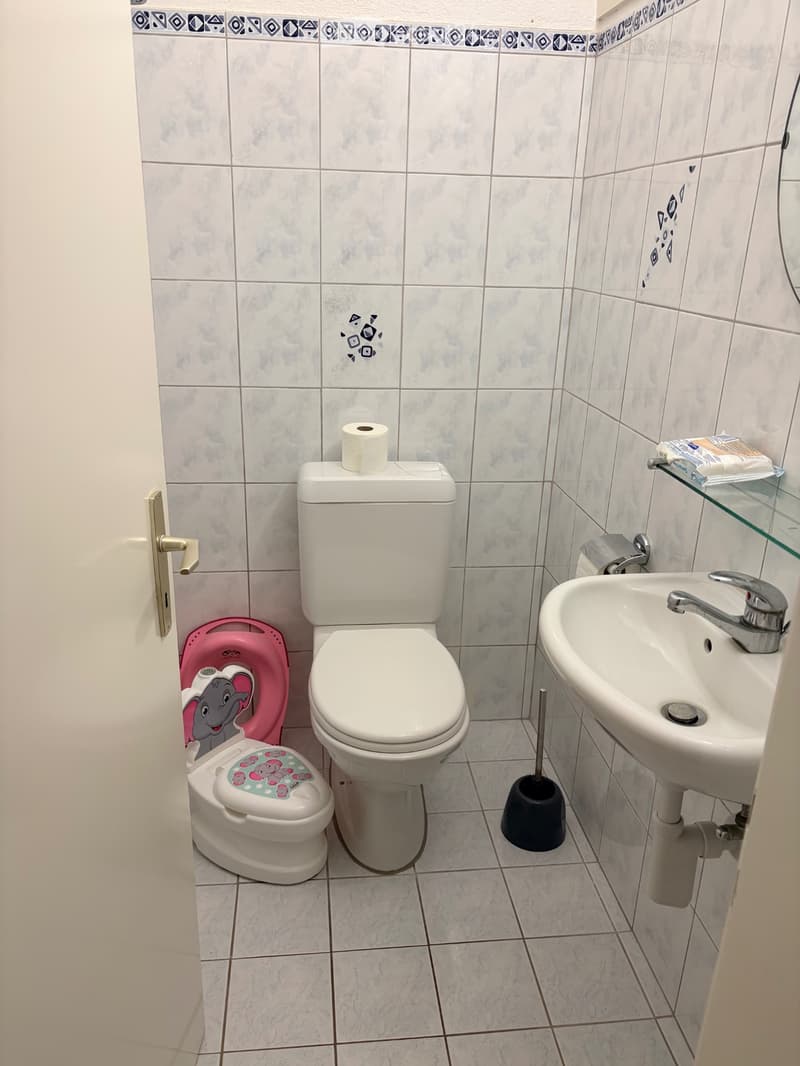 Wohnung 4.5 Zimmer (5)