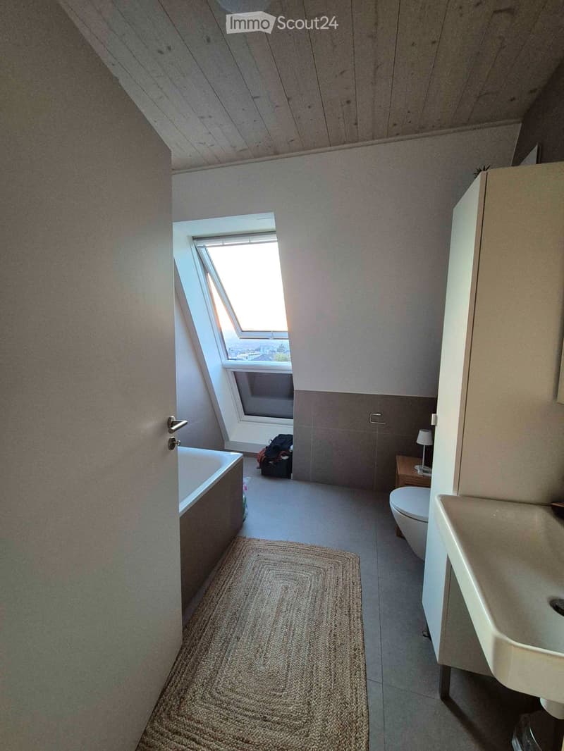 Large 2.5-room apartment with lake & mountain view - Valency (5)