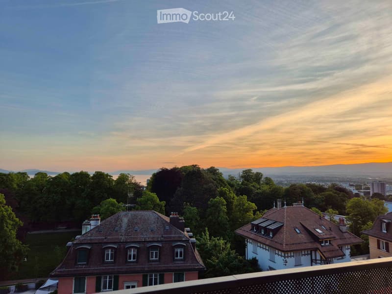 Large 2.5-room apartment with lake & mountain view - Valency (3)