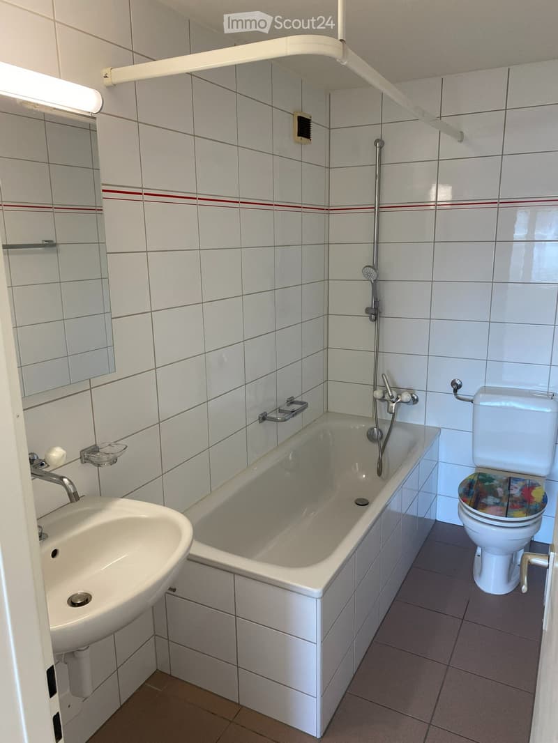 Charmant appartement de 4,5 pièces en mansarde dans un cadre verdoyant (3)