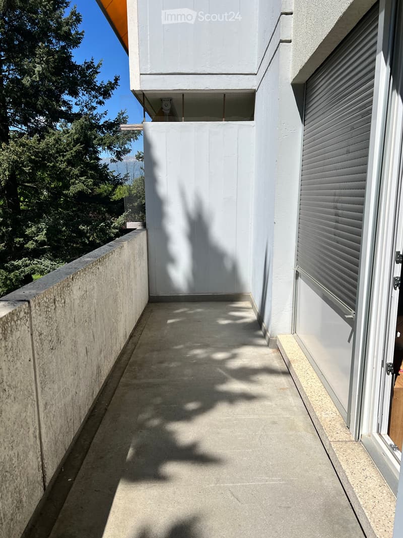 Large room with balcony (4)